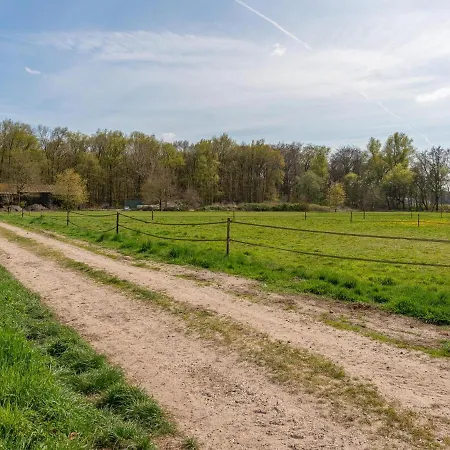 Tiny Koolmees Holiday home