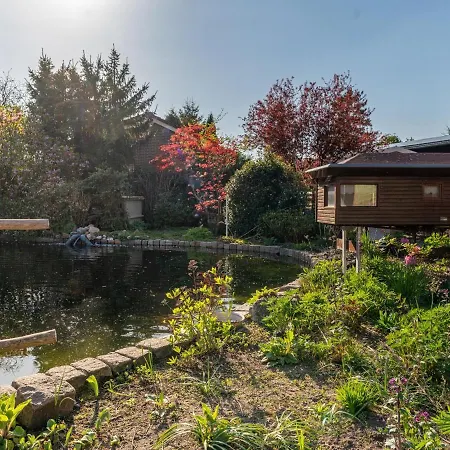 Tiny Koolmees Holiday home