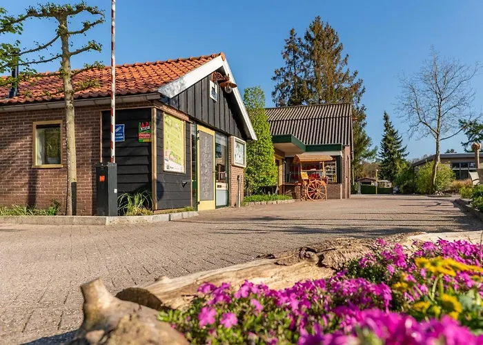 Prázdninový dům Tiny Koolmees *