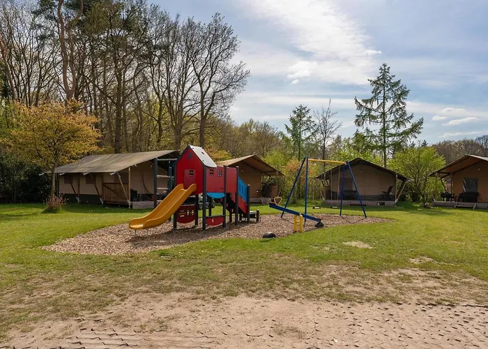 Tiny Koolmees Сasa de vacaciones