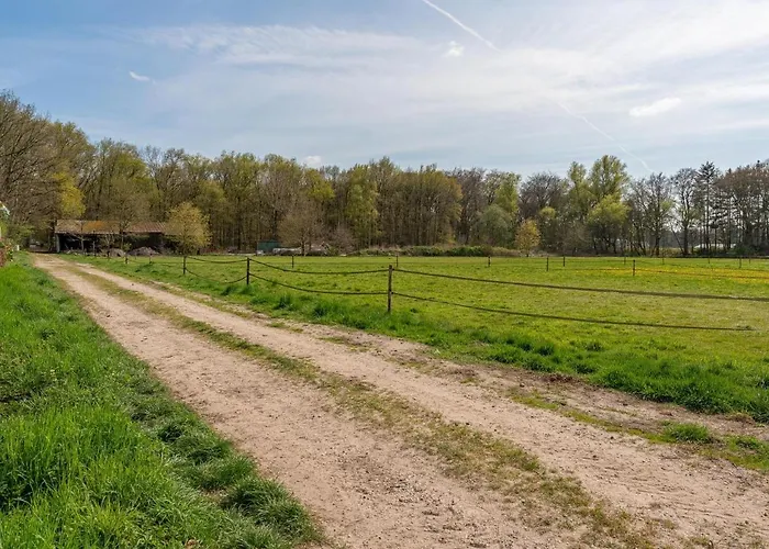 Tiny Koolmees Дом отдыха